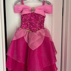 Disney Sleeping Beauty Dress
